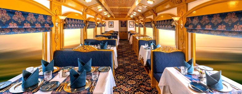 Companion 50% Off !!!