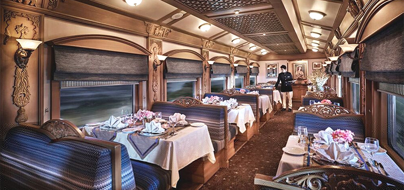 Companion 50% Off !!!