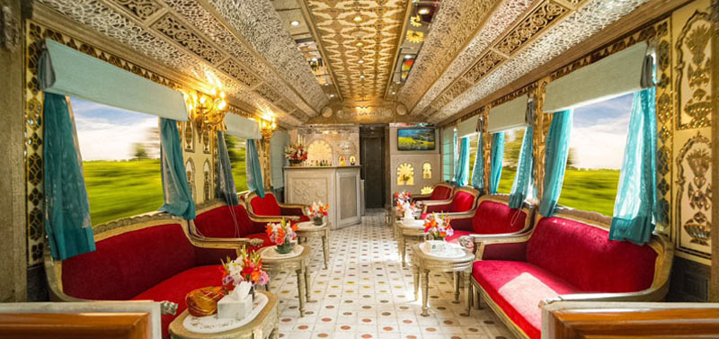 Companion 50% Off !!!